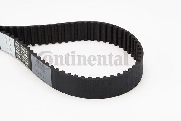 Timing Belt